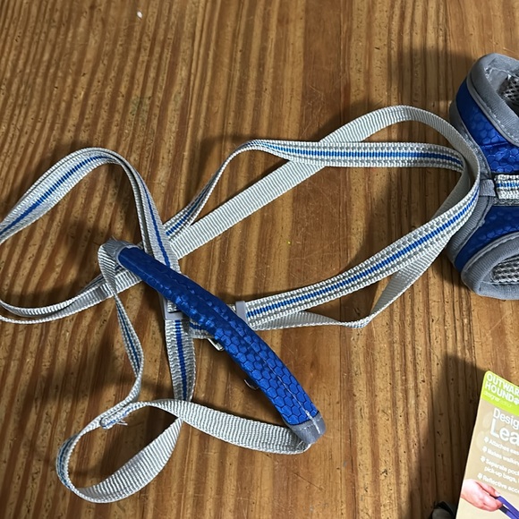 Small Dog Collection - Picture 8 of 11